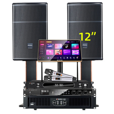 山水(SANSUI)SQ12家用电视组合功放套装唱歌商用设备音箱 SQ12专业箱+功放+效果器+美声话筒+3T点歌机
