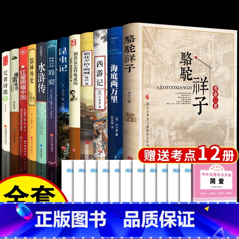 初中必读套装12册(送考点手册) 九年级下 [正版]简爱和儒林外史 完整版2册原著原版书籍九9年级下册阅读初中版正品