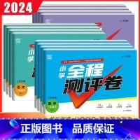 [江苏专用]语文+数学+英语 三年级上 [正版]江苏2024版通城学典小学全程测评卷一二三四五六年级上下册语文数学英语人