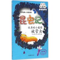 正版新书]优秀的小裁缝:被管虫(彩色注音版)法布尔9787549827