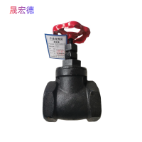 晟宏德 铸铁闸阀 丝扣DN40 个