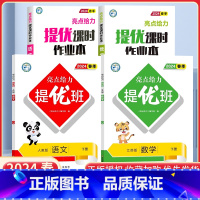 一下语数4本[亮点提优班+亮点提优课时作业本]江苏专用 小学通用 [正版]2024亮点给力提优班多维互动空间二年级下册三