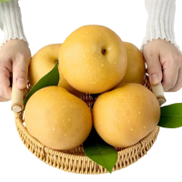 卜任舒 秋月梨约3.5kg(包装随机发货)