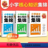 [单本]数学 小学通用 [正版]核心知识集锦语文数学英语知识大盘点一二三四五六年级小学知识大全手册人教版考试总复习小升初