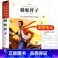 [正版]阅读骆驼祥子老舍初中原著 名师导读无障碍阅读青少版经典文学初中小学生课外阅读书籍必读课外书小