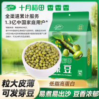 十月稻田绿豆1kg*2袋五谷杂粮绿豆4斤可发芽熬粥易煮易出沙绿豆粥
