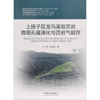 上扬子区龙马溪组页岩微观孔缝演化与页岩气赋存