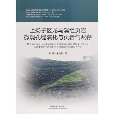 上扬子区龙马溪组页岩微观孔缝演化与页岩气赋存
