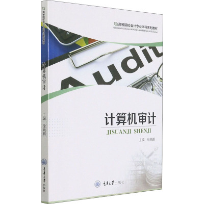 计算机审计(高等院校会计专业本科系列教材)