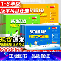 [2本套]语文+数学·人教版 二年级上 [正版]2023新实验班提优大考卷小学一二三四五六年级上下册语文数学英语人教版苏