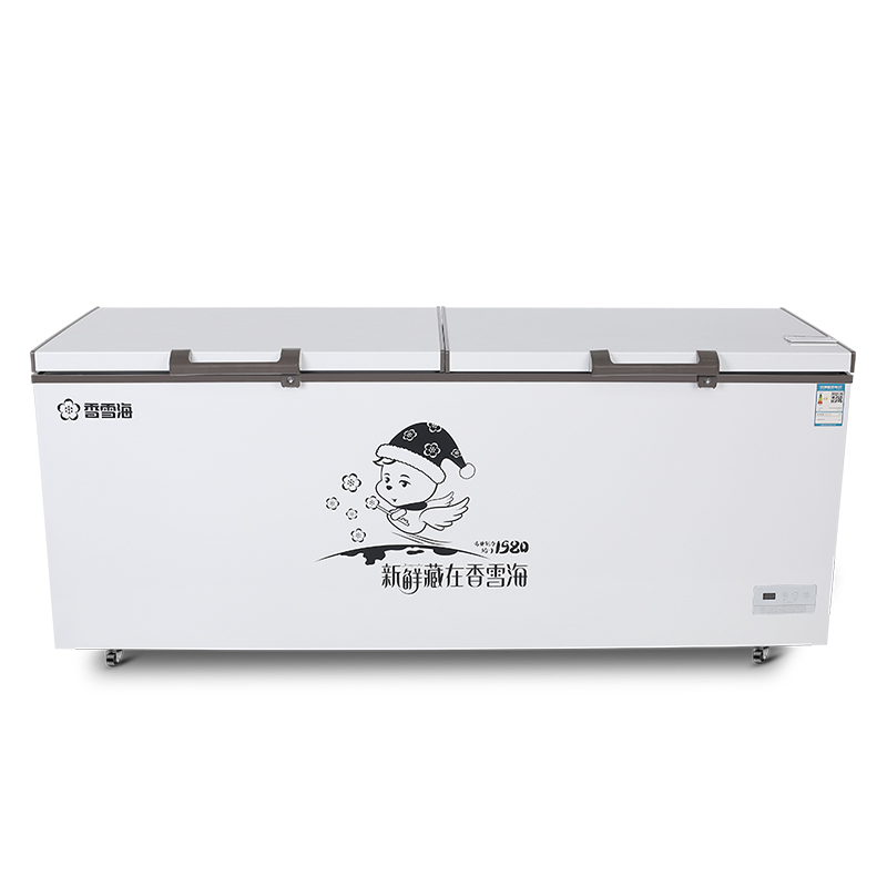 香雪海官方冷柜1100升 冰柜家用冷柜 单温柜冷藏冷冻转换保鲜柜 顶