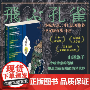 飞翔的孔雀 山尾悠子 著 小说