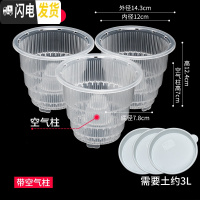 三维工匠美莳控根花盆石斛专用盆 透气 洋兰花盆蝴蝶兰盆塑料花盆创意透明 3只12cm透明带空气柱[含托盘] 小花盆容器