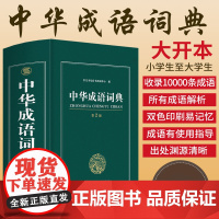 大开本 成语词典2023年 高中生正版中小学 高中初中小学生专用中华成语大词典全功能大全 新华现代词语汉语第二版2中学生