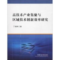 高技术产业集聚与区域技术创新效率研究 正版 丁绪辉 978