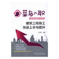 音像建筑工程施工速上与提升王力宇主编