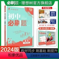 语文 七年级上 [正版]理想树2024版初中必刷题七年级上册语文人教版初中同步练习七年级语文教辅资料随堂一遍过语文同步刷
