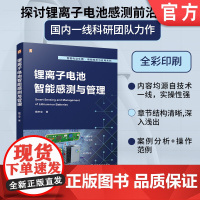 锂离子电池智能感测与管理 魏中宝 锂离子电池 智能感测技术 电池管理 状态估计 寿命评估 电池均衡 故障诊断