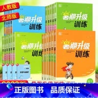 语文[人教版] 一升二 [正版]2024新版暑假升级训练一二三四五六年级语文数学英语暑假作业衔接小学暑期作业小升初作业语