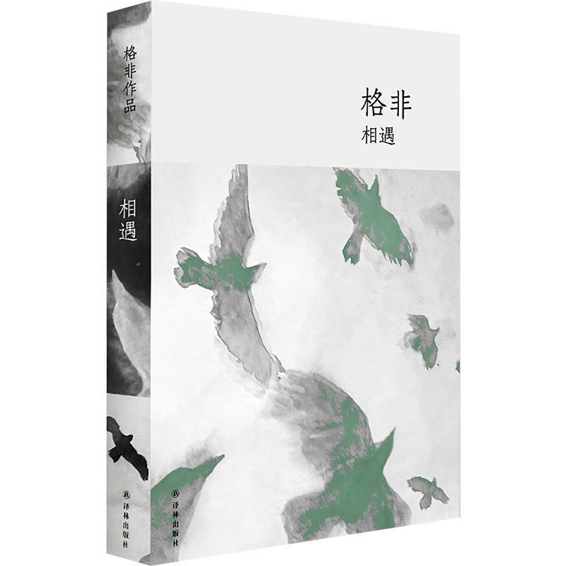 音像格非作品:相遇格非