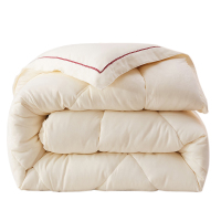 被子冬被加厚冬天被芯保暖单双人冬季空调被褥10斤