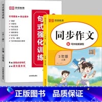 [❤️全2册❤️]句式训练+上册同步作文 小学三年级 [正版]荣恒小学语文句式训练大全一二三四五六年级扩句仿句组词造