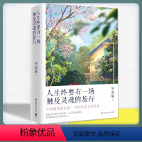 [正版]人生终要有一场触及灵魂的旅行 毕淑敏著 湖南文艺出版社 中国文学散文 中国现当代文学心理治愈散文随笔 书籍小说