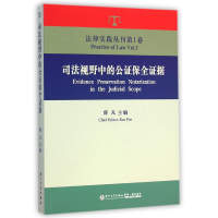 音像司法视野中的公保全据/法律实践丛刊薛凡