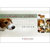 音像犬疑难病的诊疗与针灸图谱陆钢
