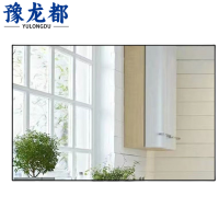 豫龙都镜子70*160个