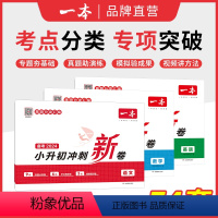 [语数英 三本]套装 小学升初中 [正版]2024新版小升初冲刺新卷总复习试卷一本小学毕业升学冲刺卷语文数学英语名校冲刺