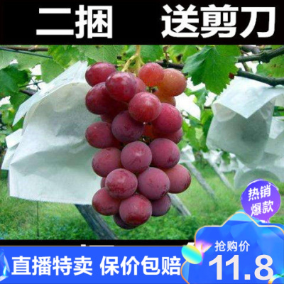 工厂直供-套袋纸袋梨袋葡萄套袋露天葡萄袋子防虫袋葡萄保护袋葡萄袋环欧行