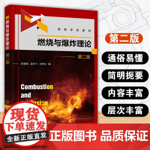 燃烧与 理论(赵雪娥)(第二版)
