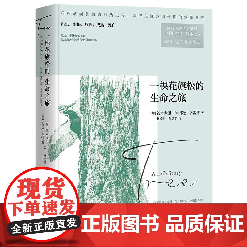 一棵花旗松的生命之旅 卡林加奖得主铃木大卫经典内附精美插图进化论自然科学科普百科全书书籍