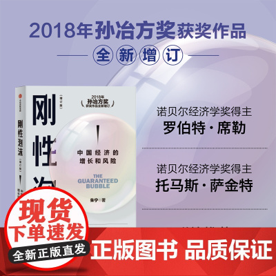 刚性泡沫 朱宁著 2018年孙冶方奖获奖作品全新增订 诺贝尔经济学奖得主罗伯特席勒 读懂中国经济的过去与未来