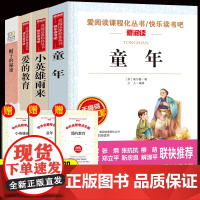 正版4册小英雄雨来六年级读原著完整版 高尔基的童年书籍 爱的教育亚米契斯帽子的秘密书三年级四年级阅读课外书目读