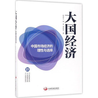 正版新书]大国经济:中国市场经济的理性与选择邱恩义9787517706