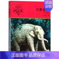 白象家族 [正版]沈石溪动物小说大王品藏书系全集十大经典狼王梦后一头战象狼国女王斑羚飞渡红飘带狮王第七条猎狗白象家族精品