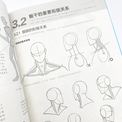 拒绝高深 游戏动漫人体结构基础教程