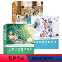 大家小绘分级阅读[全19册] [正版]大家小绘分级阅读全套19册初阶进阶高阶小学生三四五六年级课外阅读书籍适合6-12岁