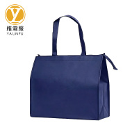 雅霖服 加厚无纺布手提袋 YLF-D181 个