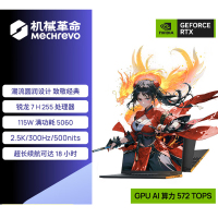 机械革命(MECHREVO)翼龙16X 2025款 16英寸旗舰游戏本 强芯学生设计笔记本电脑锐龙版Ryzen 7 H 255/RTX5060 64G 2T 2.5K 墨影橙 定制