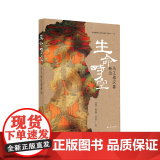 预售 生命时空——马王堆汉墓新论 马王堆 考古 艺术 阴阳 9787547935224 上海书画出版社 美国哈佛大学中王