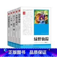 全套5册 [正版]全5册专家名师导读专家名师导读版世界名著系列一(一千零一夜等)青少年书籍初高中大学生阅读经典