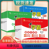 语文人教版 一年级下 [正版]2024春学霸提优大试卷一年级二年级三年级四年级五六年级上下册语文数学英语人教版小学课堂同
