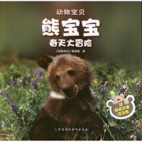 音像熊宝宝春天大冒险(印)戈尔