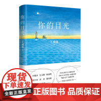 你的目光(全球七成眼镜诞生在“眼镜之都”,年轻设计师的创业轻喜剧,年度十佳中篇小 王威廉 花城出版社 正版书籍
