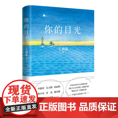 你的目光(全球七成眼镜诞生在“眼镜之都”,年轻设计师的创业轻喜剧,年度十佳中篇小 王威廉 花城出版社 正版书籍