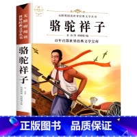 骆驼祥子 [正版]配套考试重点故乡 鲁迅原着野草 彷徨全套4册六年级必读课外书鲁迅的书6年级课外阅读书籍老师散文作品集书
