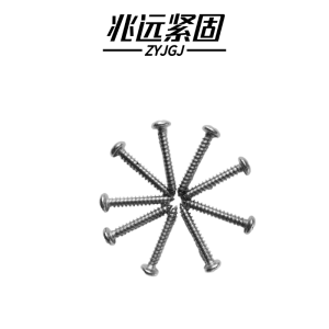 兆远紧固 不锈钢圆头自攻钉(个)(4*16)